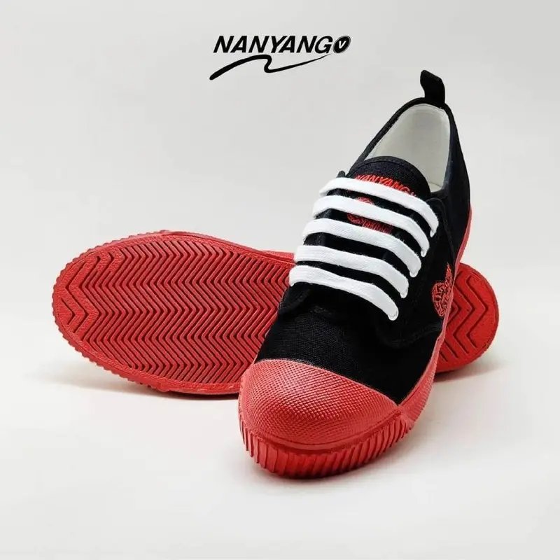 Nanyang V7 view 3